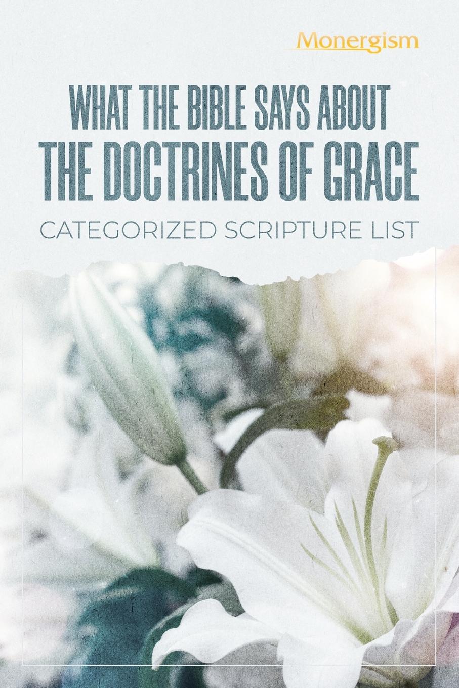 Vorderes Coverbild What The Bible Says About The Doctrines Of Grace
