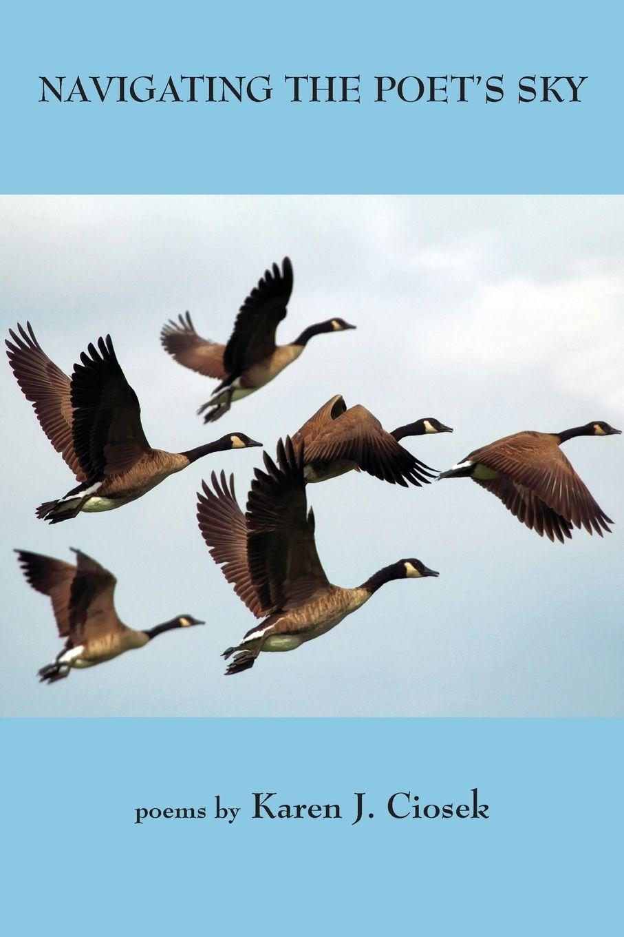 Vorderes Coverbild Navigating the Poet's Sky