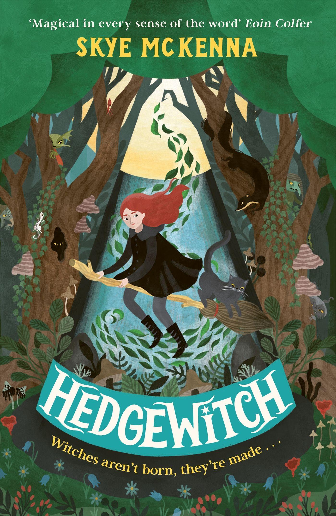 Vorderes Coverbild Hedgewitch