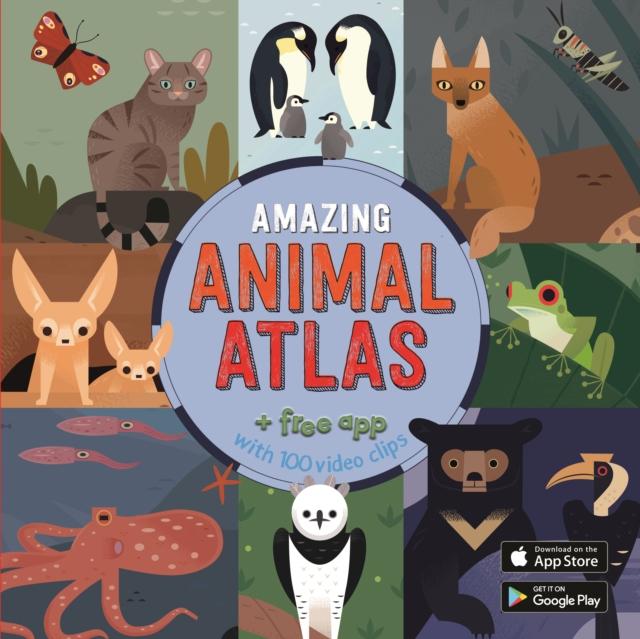 Vorderes Coverbild The Amazing Animal Atlas