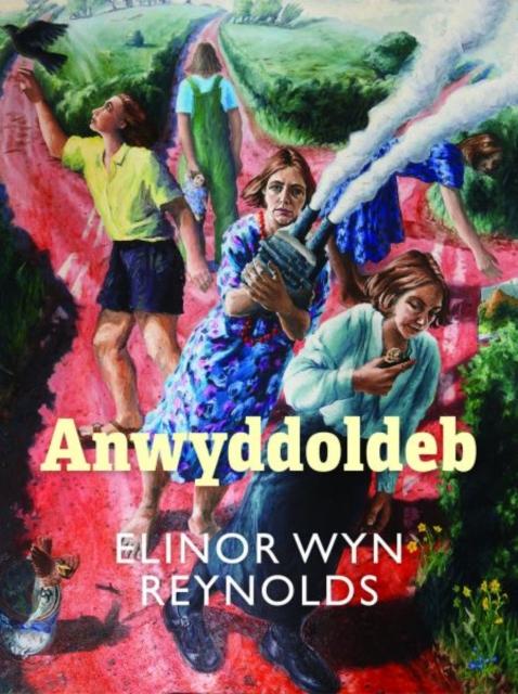 Vorderes Coverbild Anwyddoldeb
