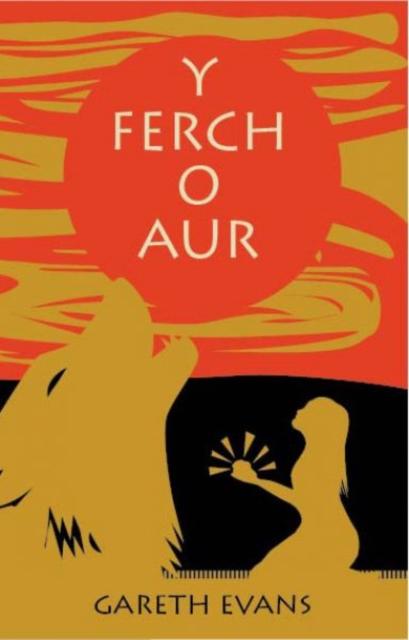 Vorderes Coverbild Y Ferch o Aur