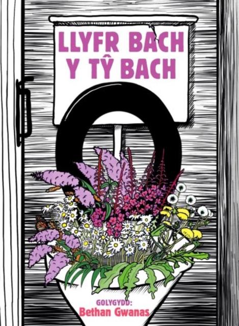 Vorderes Coverbild Llyfr Bach y Ty Bach