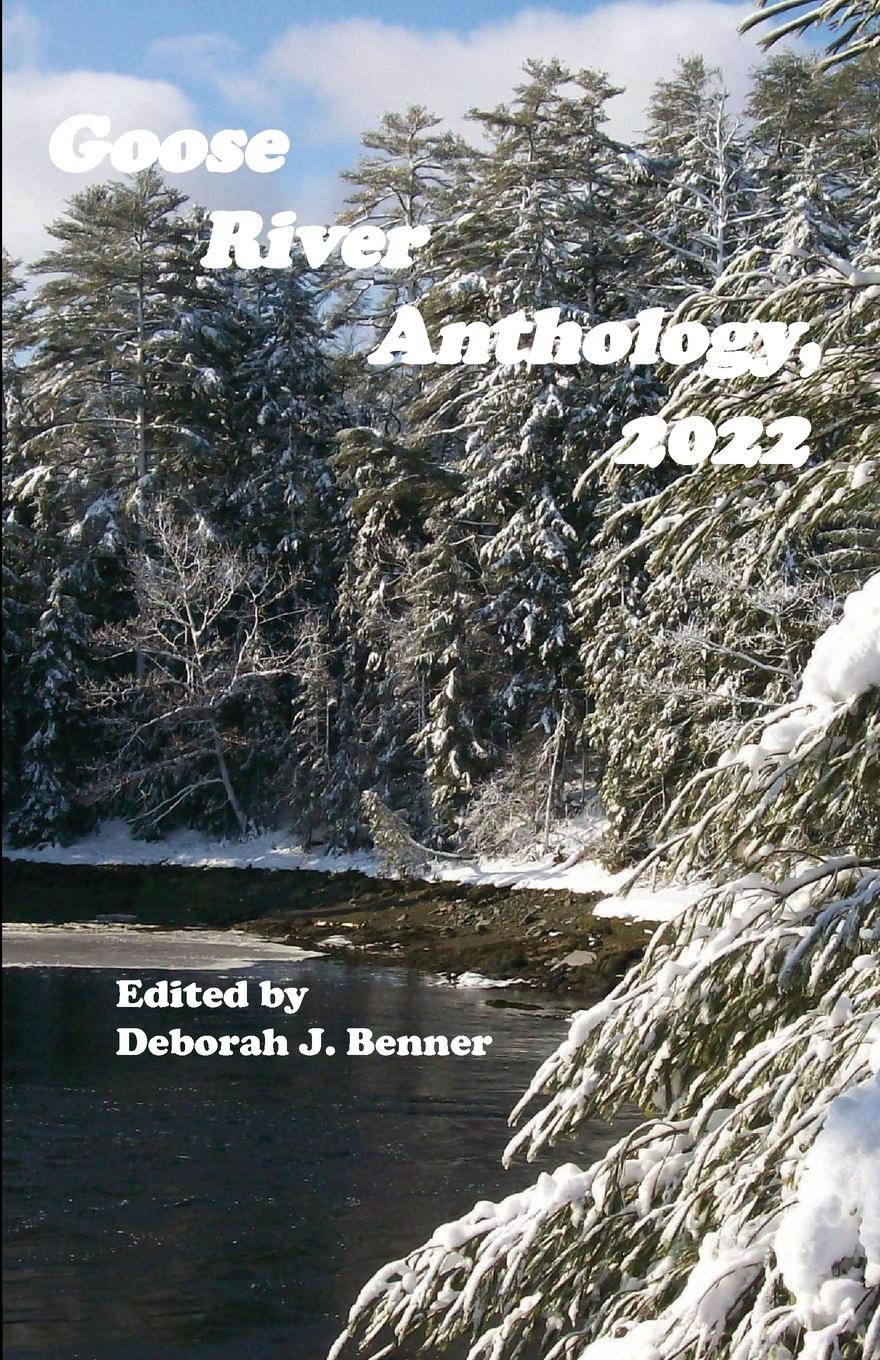 Vorderes Coverbild Goose River Anthology, 2022