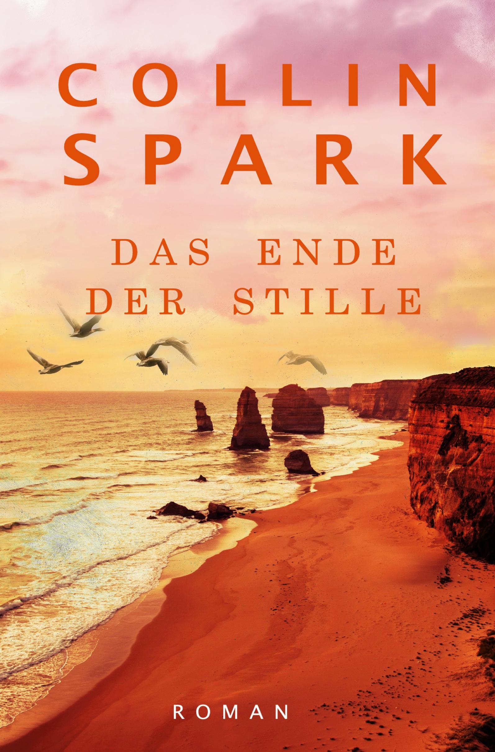 Vorderes Coverbild Das Ende der Stille