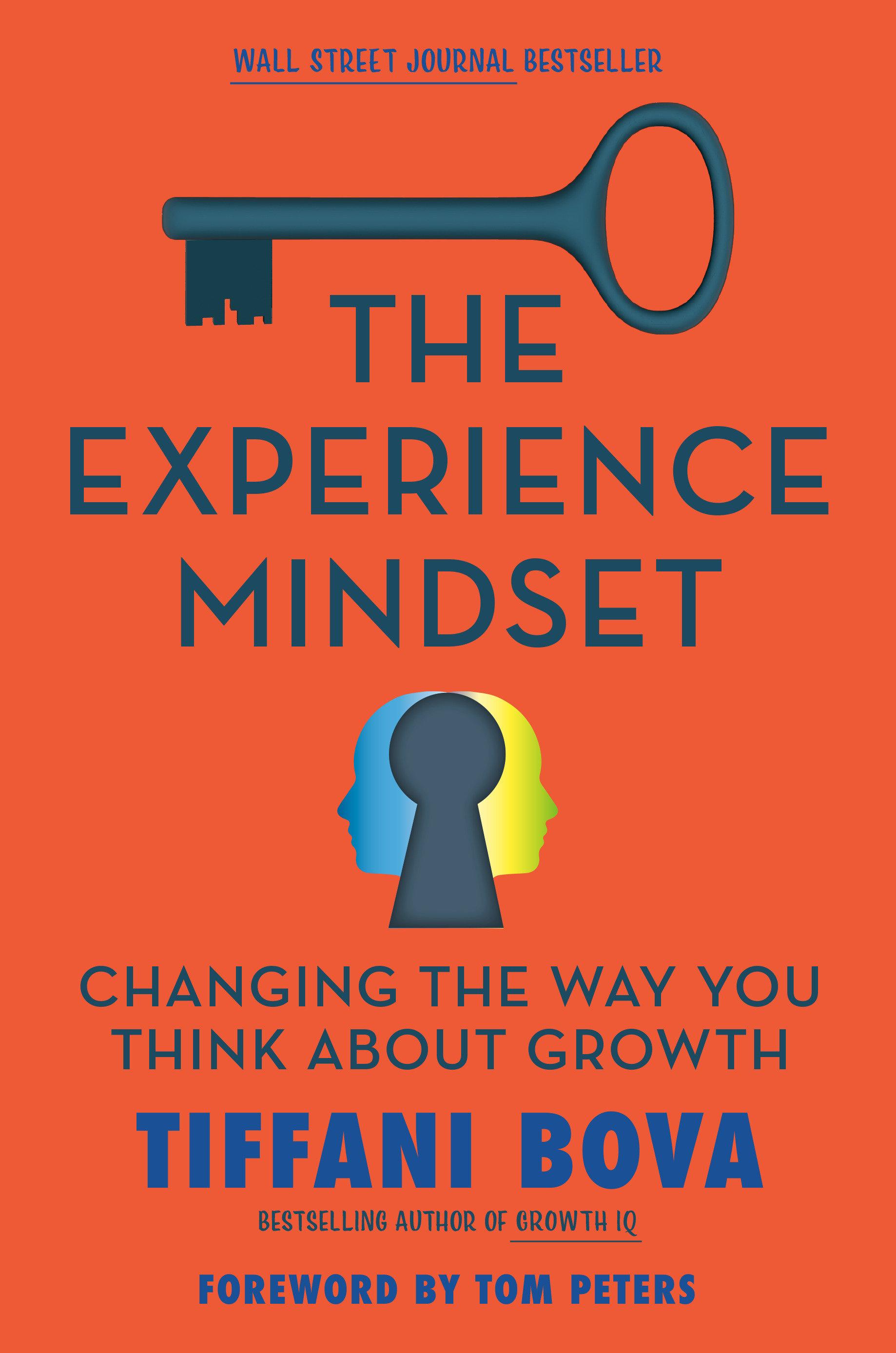 Vorderes Coverbild The Experience Mindset