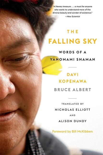 Vorderes Coverbild The Falling Sky