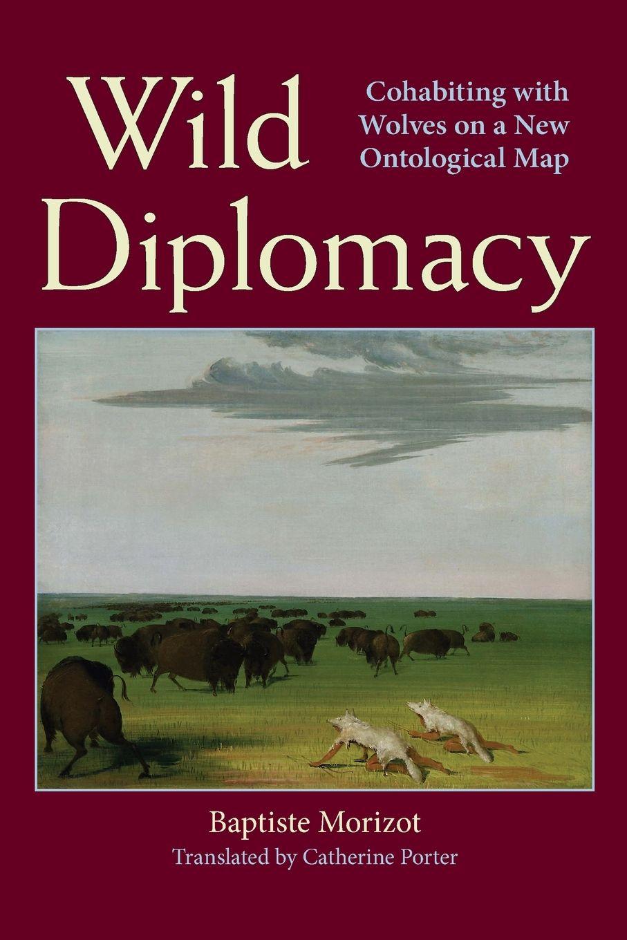Vorderes Coverbild Wild Diplomacy