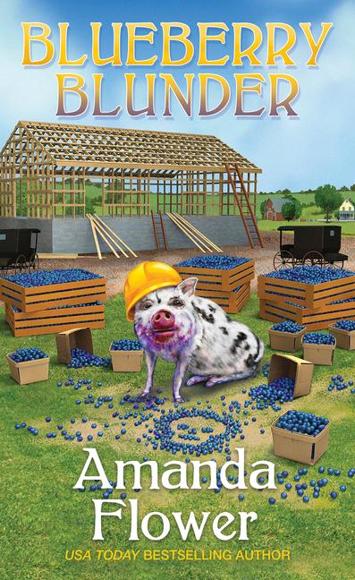 Vorderes Coverbild Blueberry Blunder