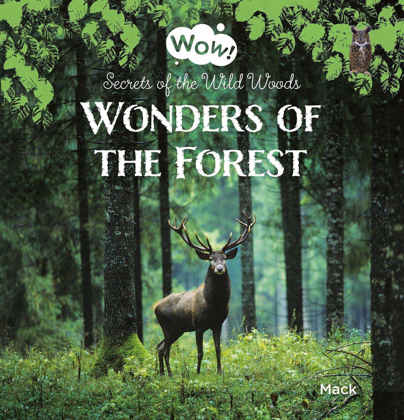 Vorderes Coverbild Wonders of the Forest. Secrets of the Wild Woods