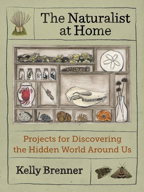 Vorderes Coverbild The Naturalist at Home