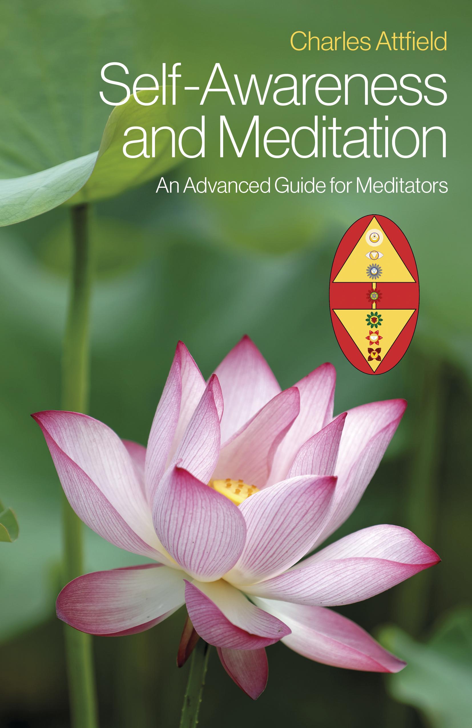 Vorderes Coverbild Self-Awareness and Meditation