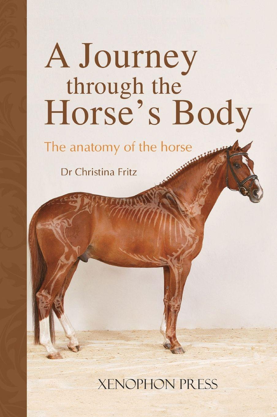 Vorderes Coverbild A Journey Through the Horse's Body