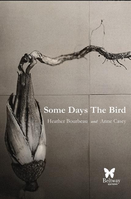 Vorderes Coverbild Some Days the Bird