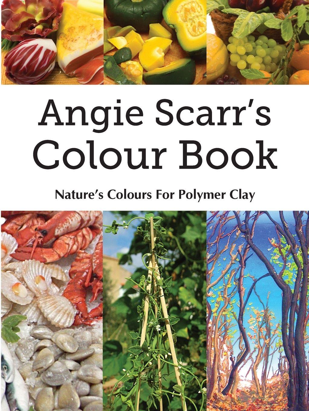 Vorderes Coverbild Angie Scarr's Colour Book