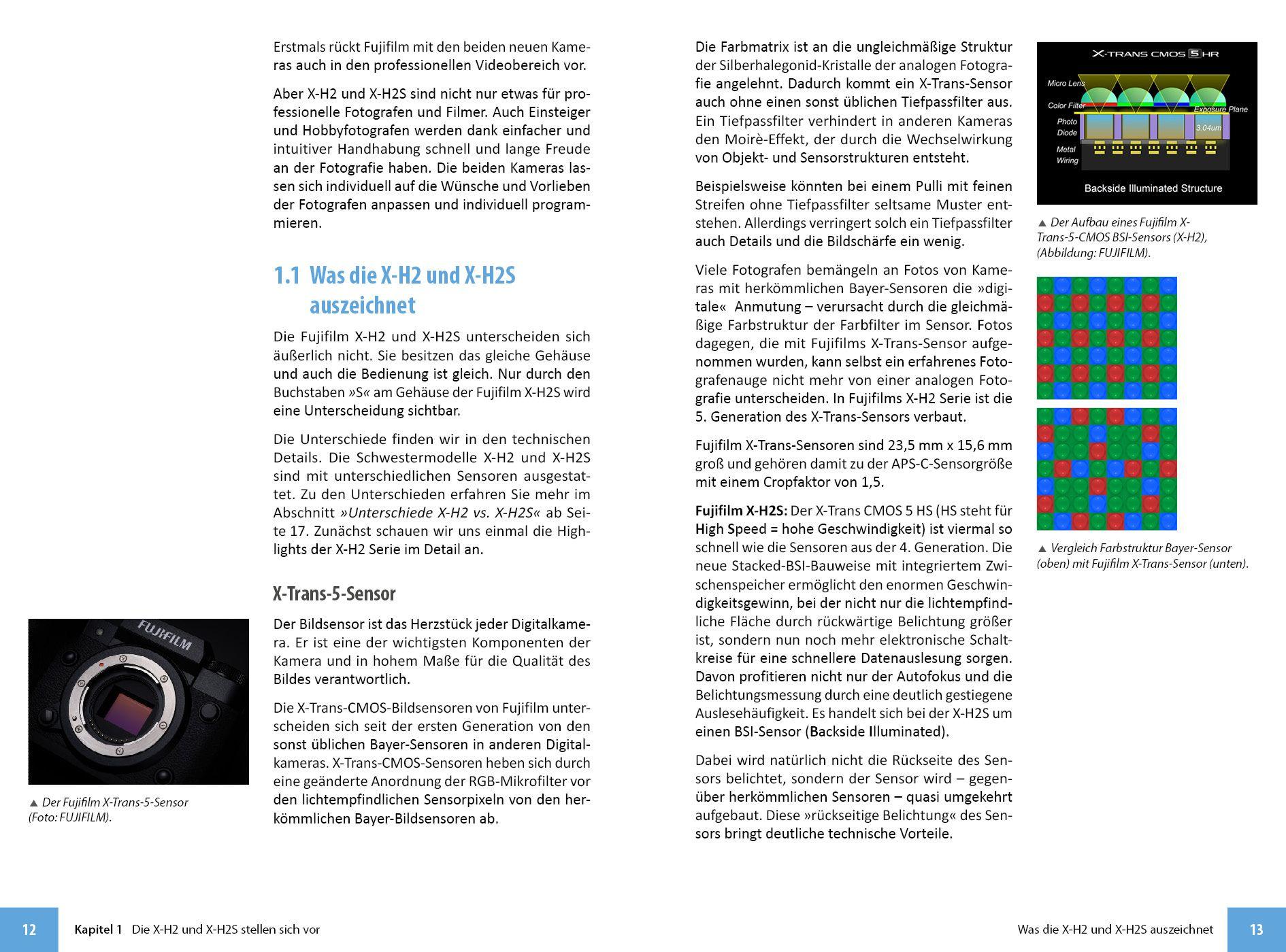 Beispielinhalt (Bild) Fujifilm X-H2 und X-H2s