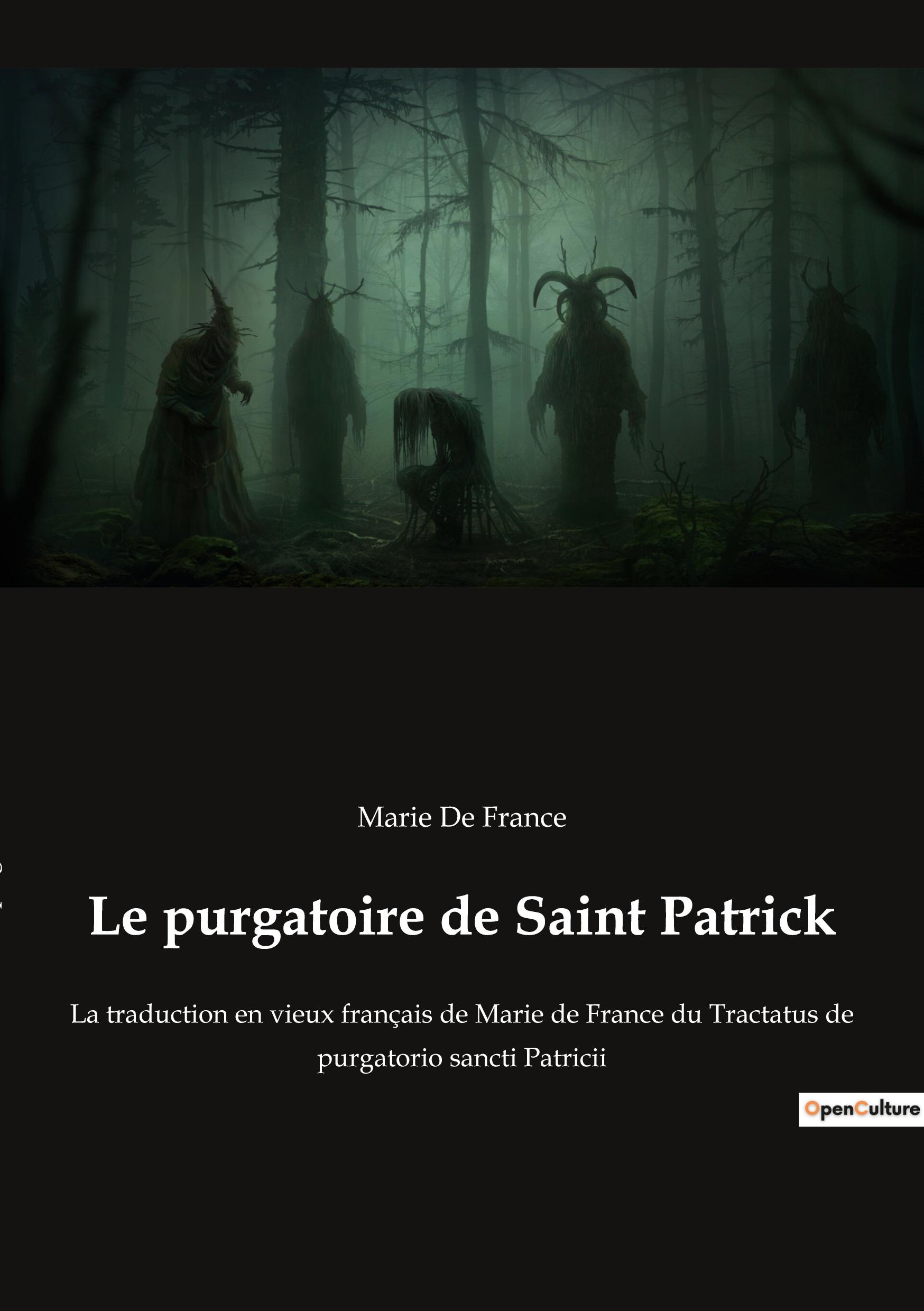 Vorderes Coverbild Le purgatoire de Saint Patrick