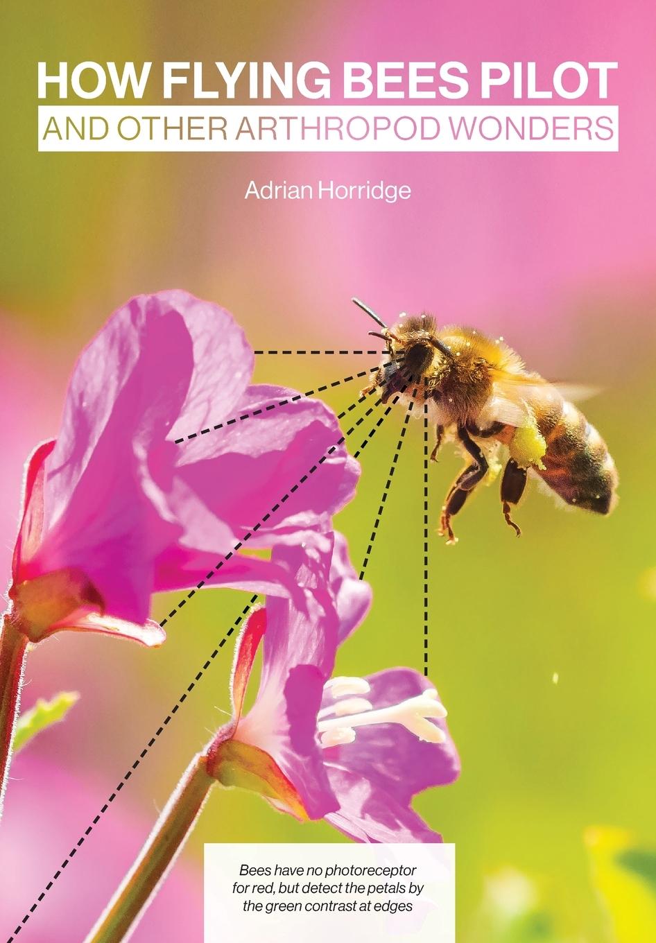 Vorderes Coverbild How Flying Bees Pilot, and other arthropod wonders