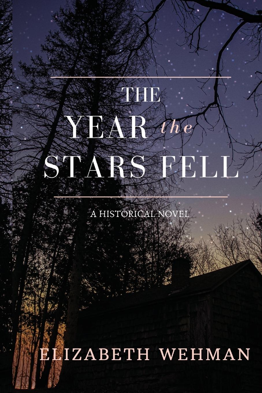 Vorderes Coverbild The Year the Stars Fell