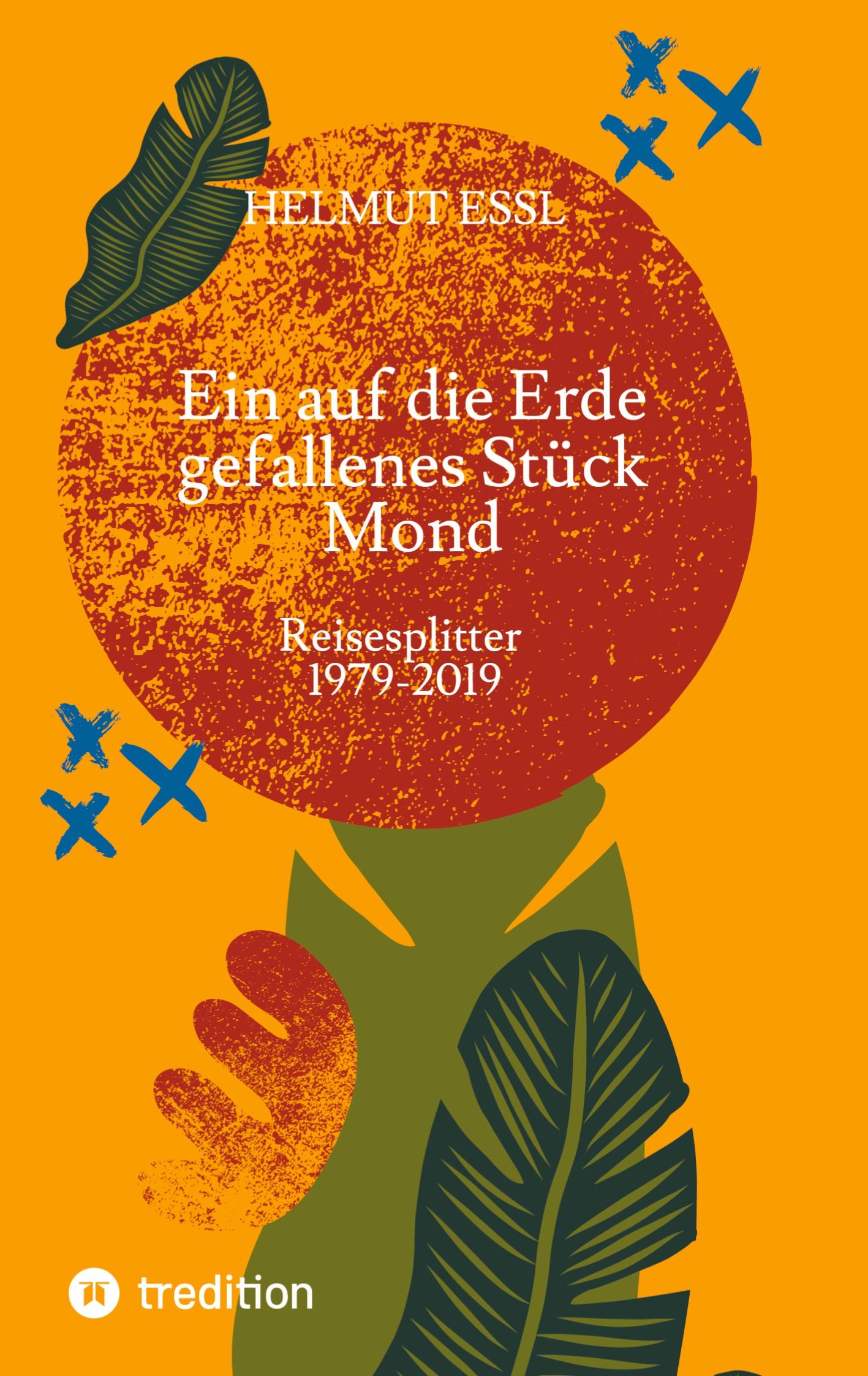 Vorderes Coverbild Ein auf die Erde gefallenes Stück Mond