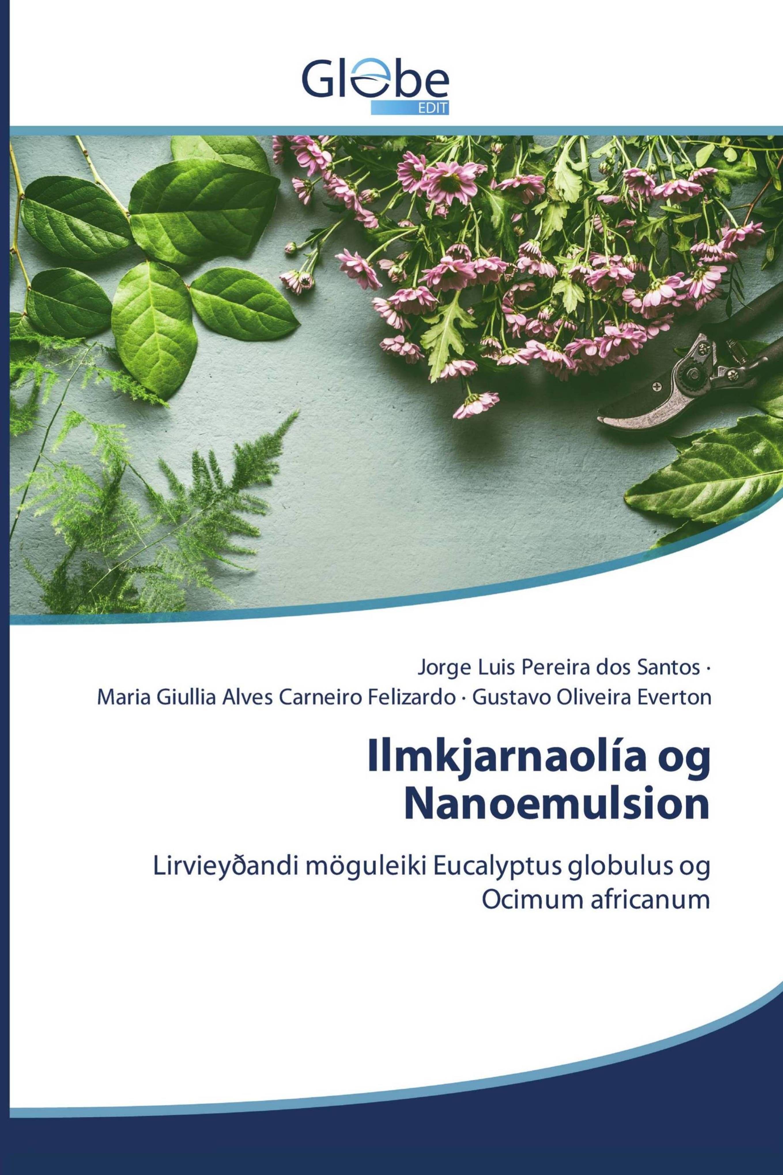 Vorderes Coverbild Ilmkjarnaolía og Nanoemulsion