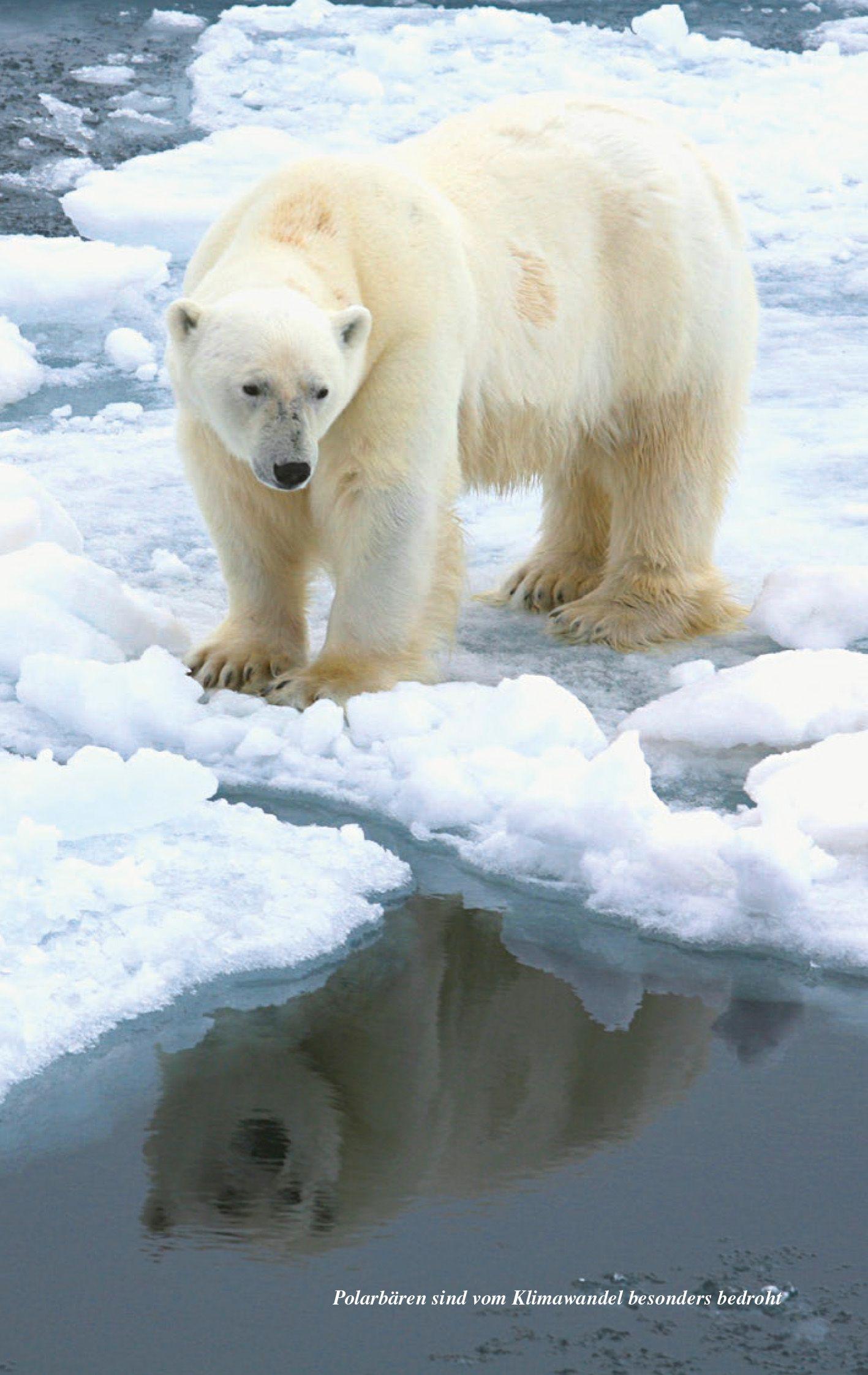 Beispielinhalt (Bild) TRESCHER Reiseführer Kreuzfahrten Nordmeer und Arktis