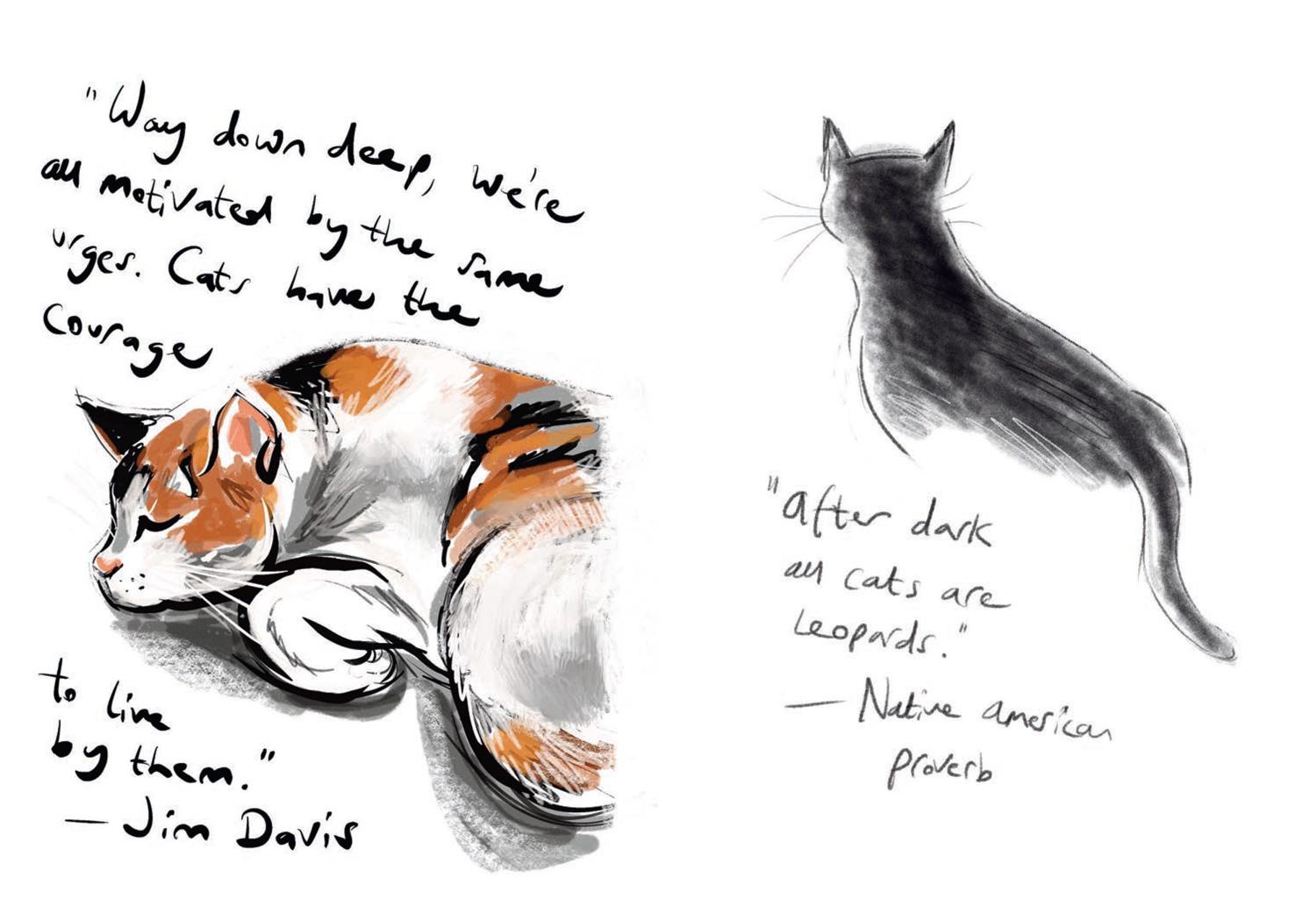 Beispielinhalt (Bild) Puss in Books