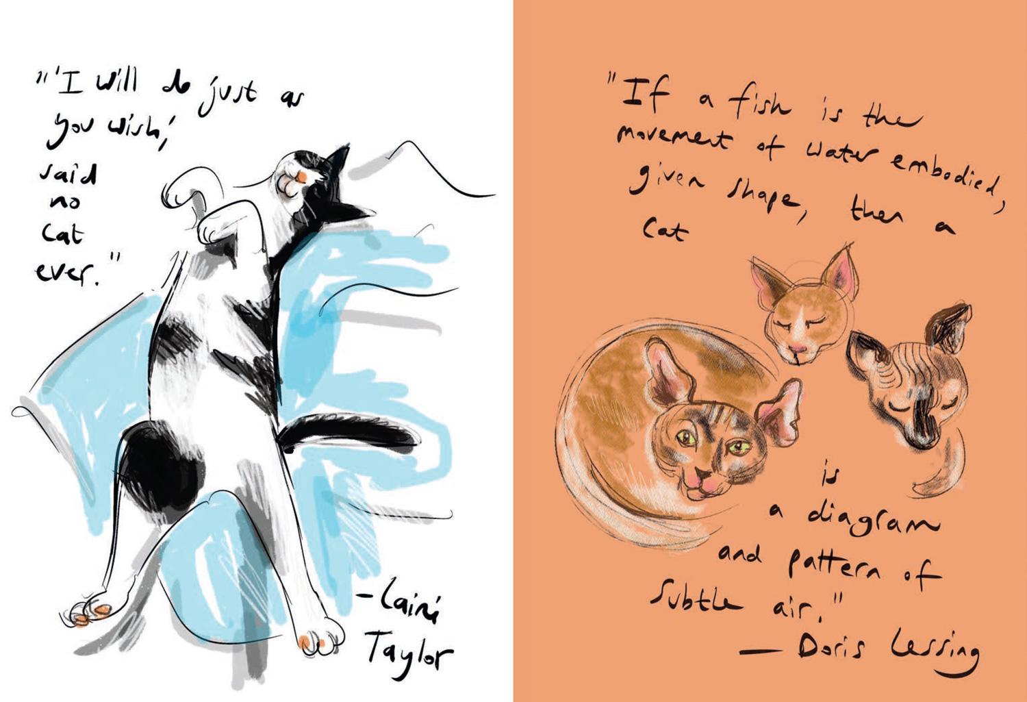 Beispielinhalt (Bild) Puss in Books