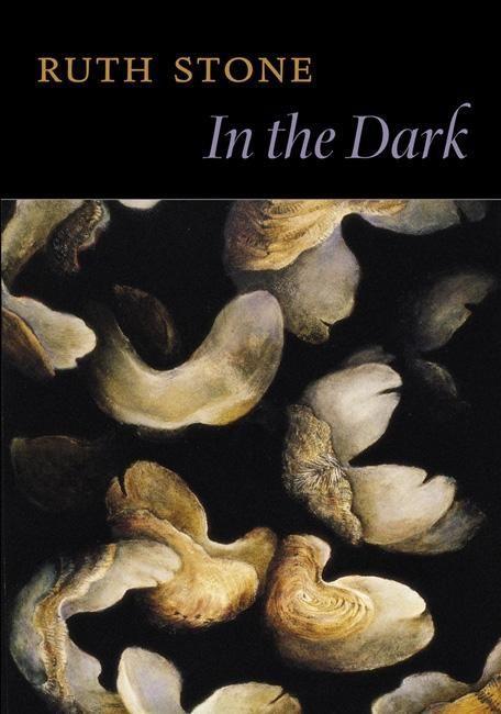 Vorderes Coverbild In the Dark
