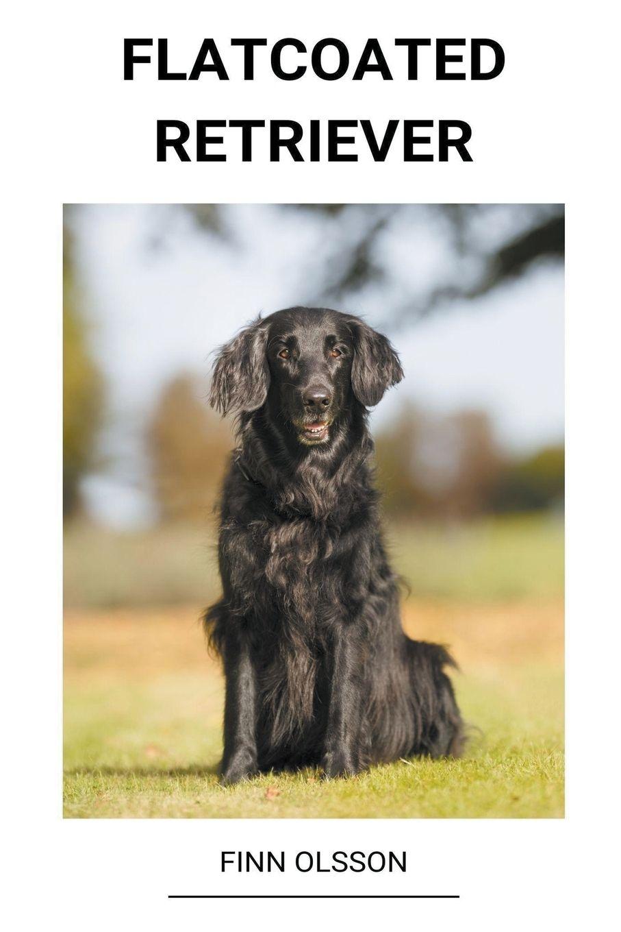 Vorderes Coverbild Flatcoated Retriever