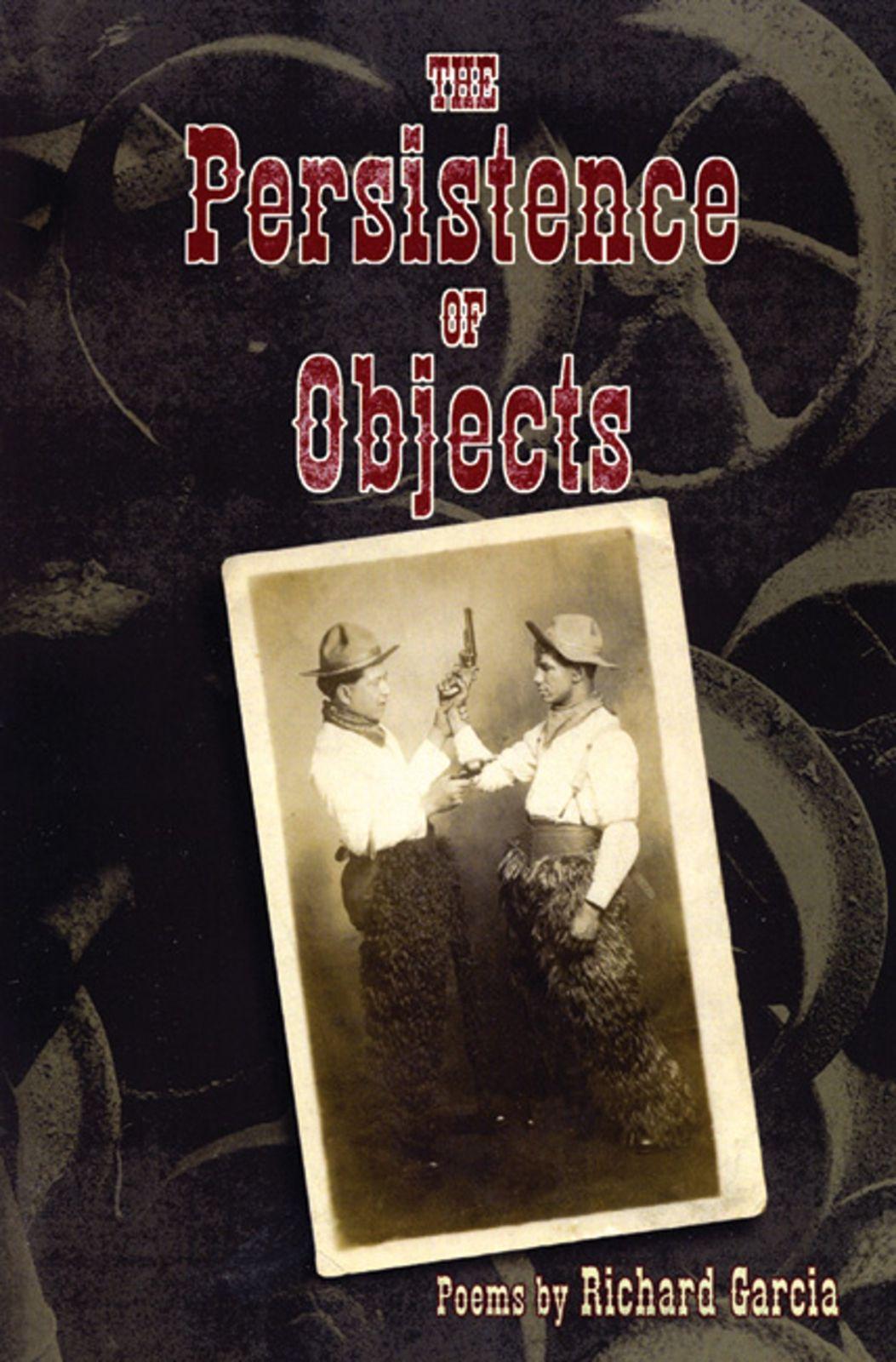 Vorderes Coverbild The Persistence of Objects