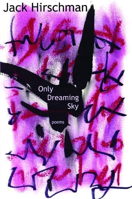 Vorderes Coverbild Only Dreaming Sky