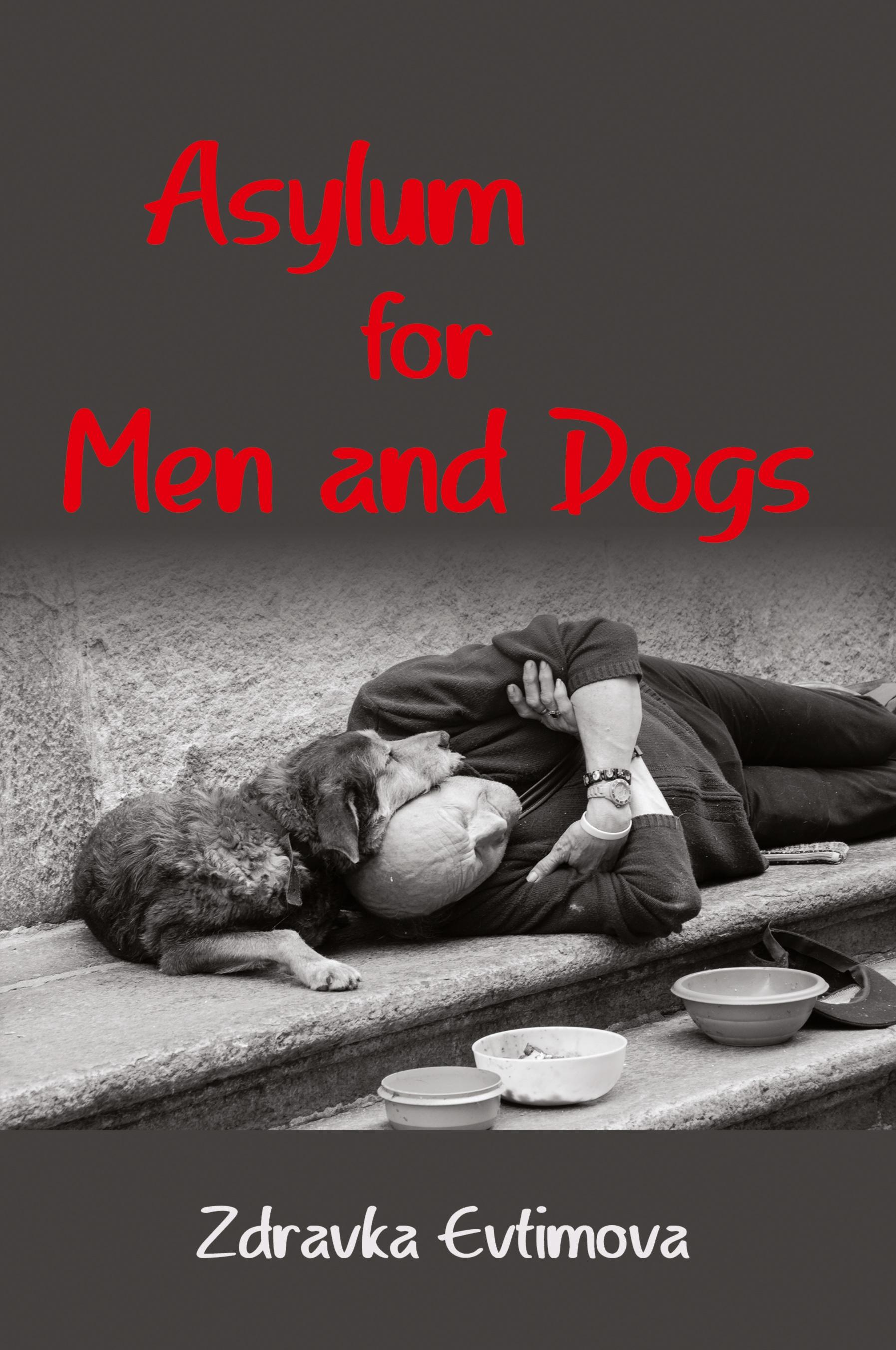 Vorderes Coverbild Asylum for Men and Dogs