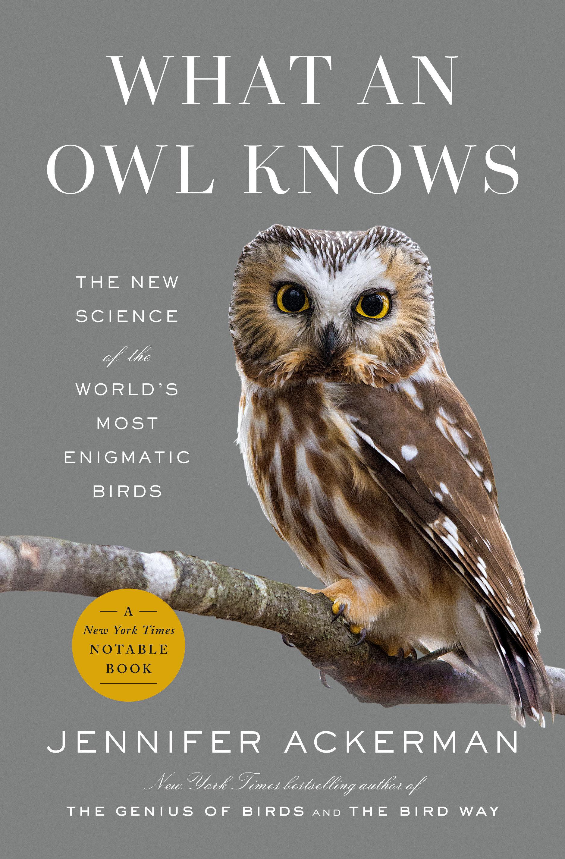 Vorderes Coverbild What an Owl Knows