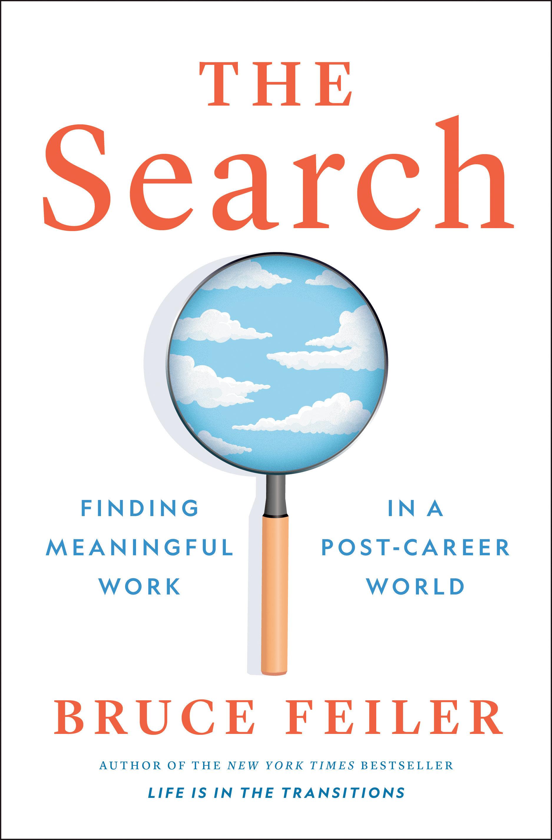 Vorderes Coverbild The Search