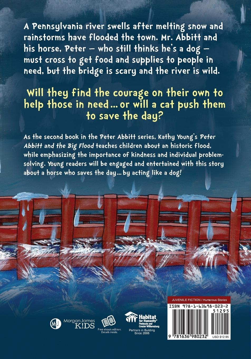 Rückseitencover Peter Abbitt and the Big Flood