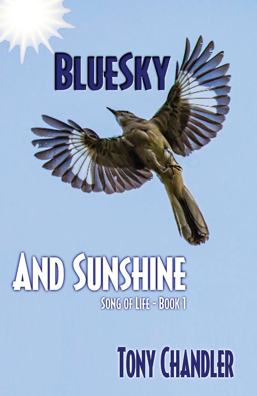 Vorderes Coverbild Bluesky and Sunshine (Song of Life - Book 1)