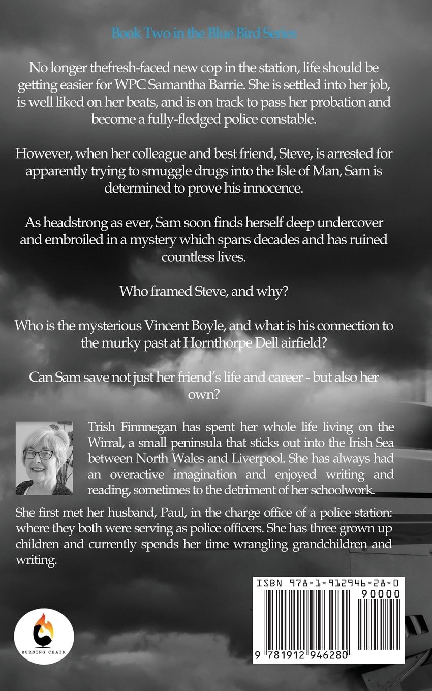 Rückseitencover Blue Sky