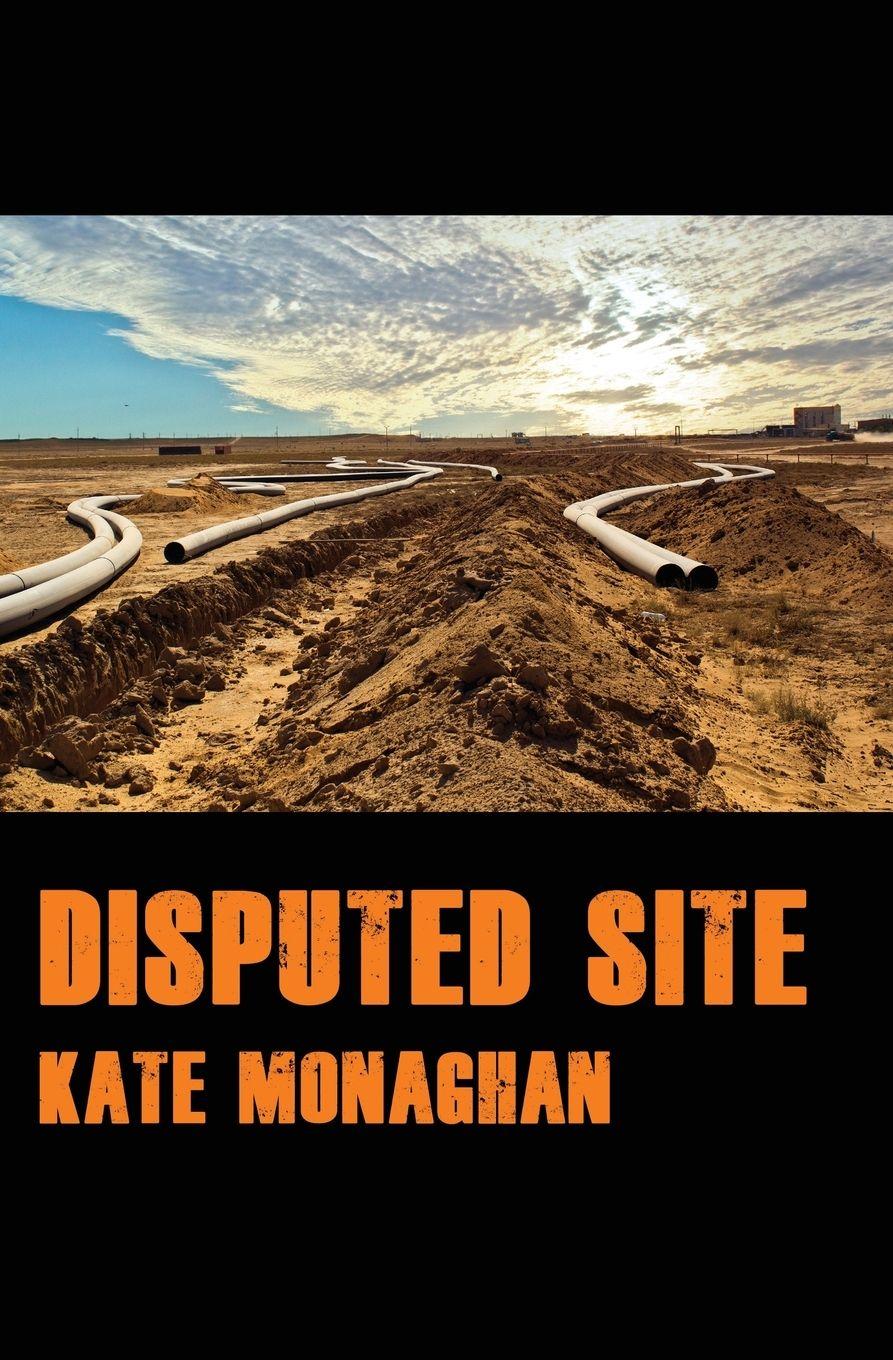 Vorderes Coverbild Disputed Site