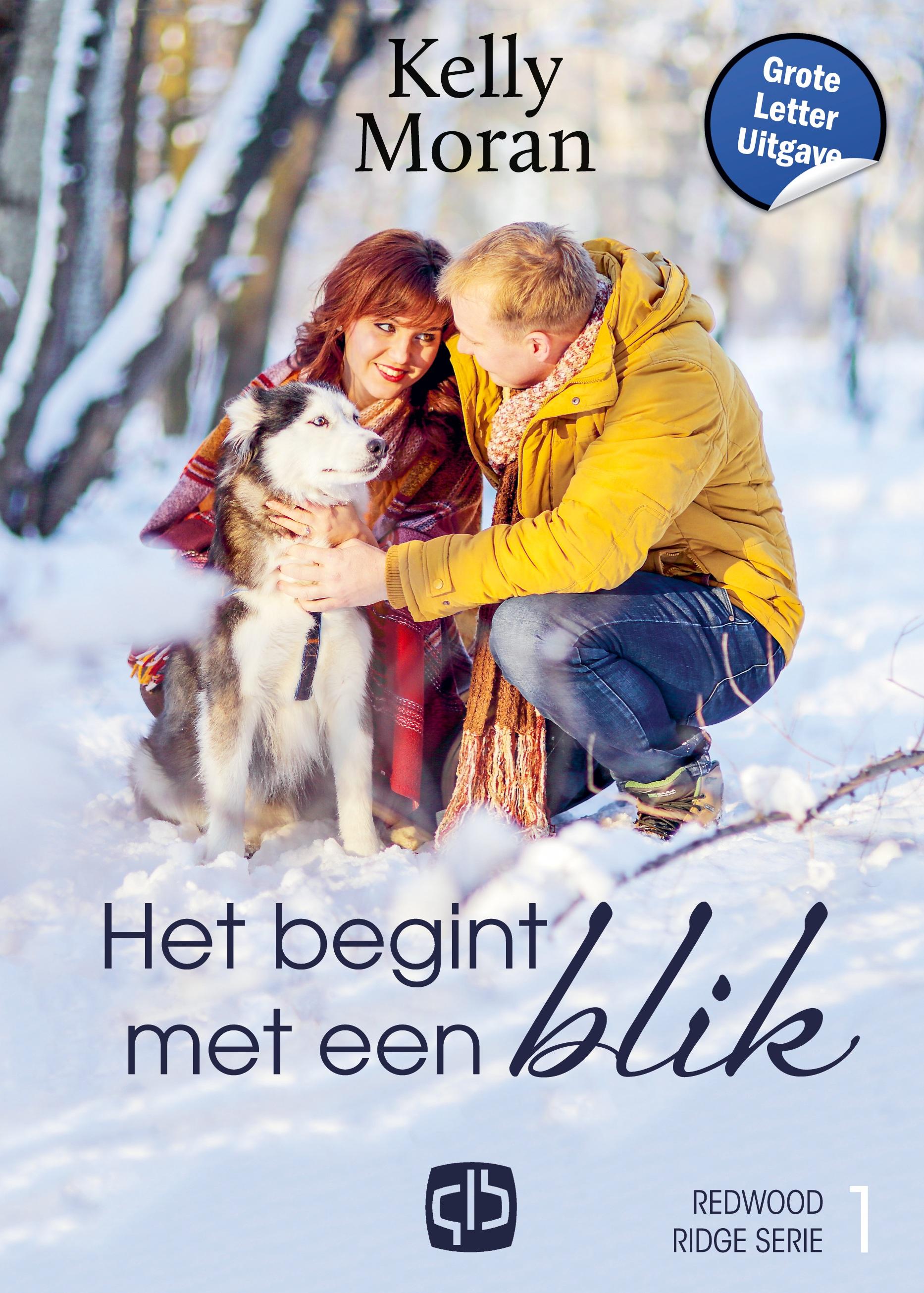 Vorderes Coverbild Het begint met een blik