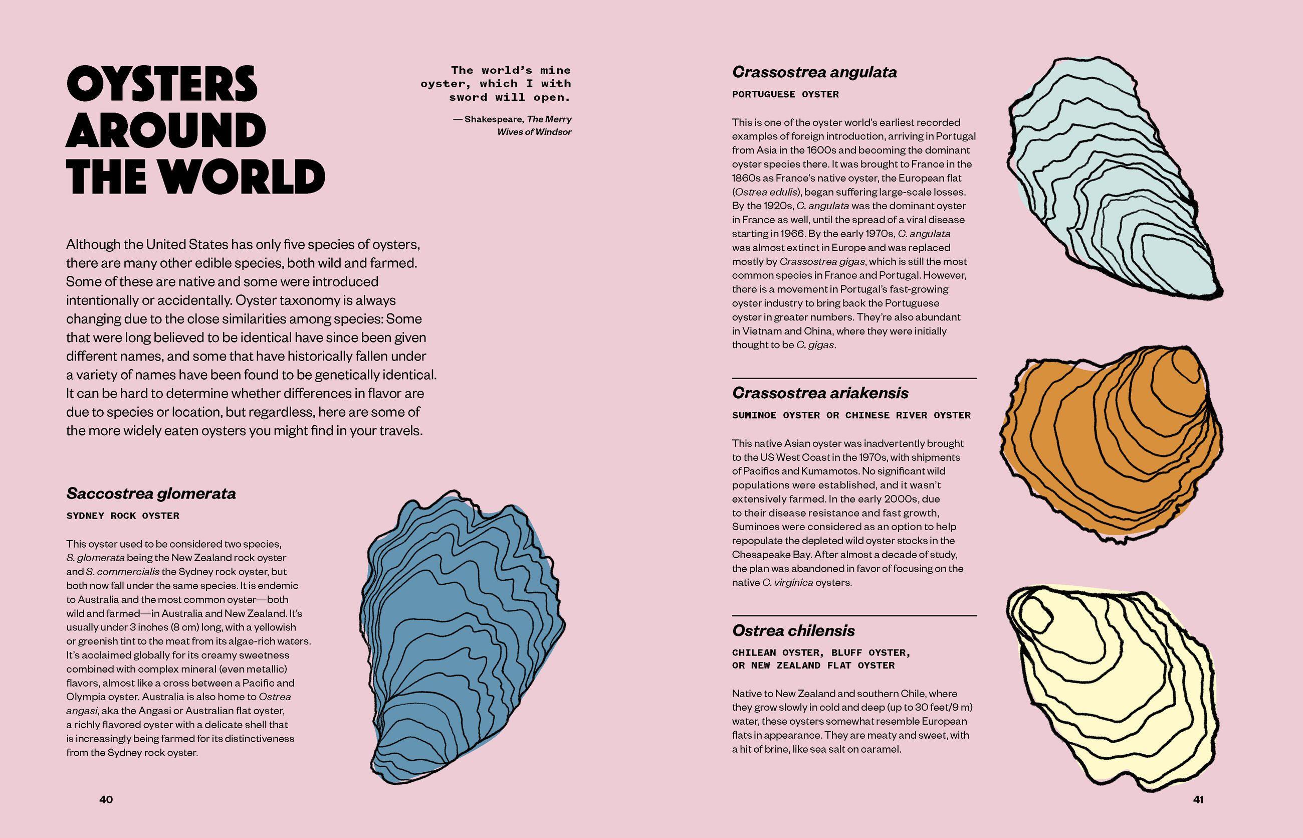 Beispielinhalt (Bild) The Joy of Oysters