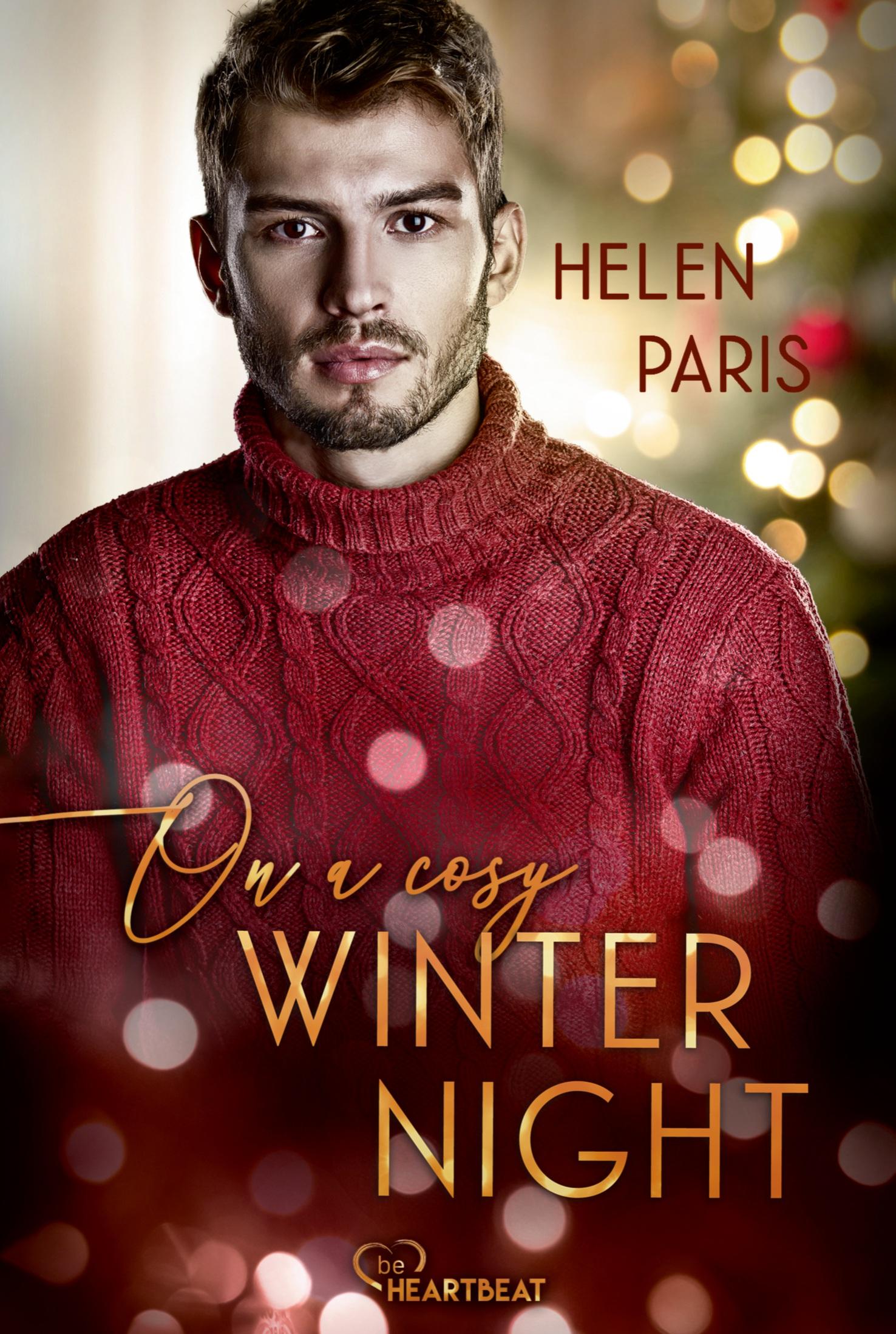 Vorderes Coverbild On a cosy Winter Night