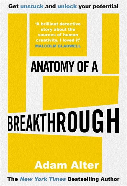 Vorderes Coverbild Anatomy of a Breakthrough