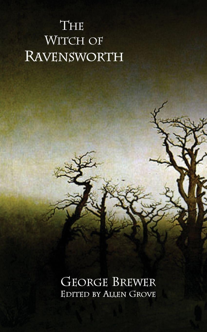 Vorderes Coverbild The Witch of Ravensworth