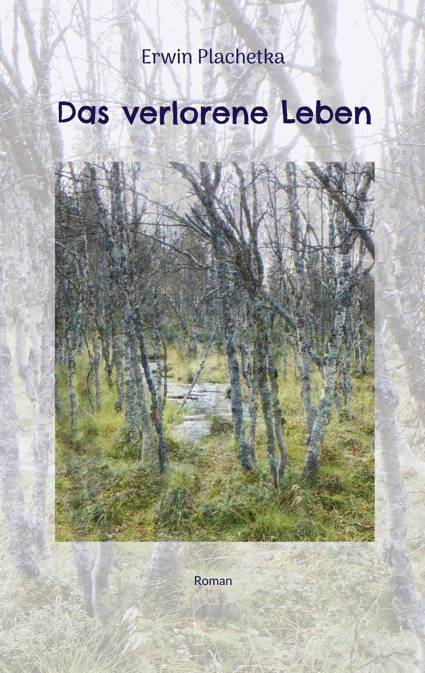 Vorderes Coverbild Das verlorene Leben