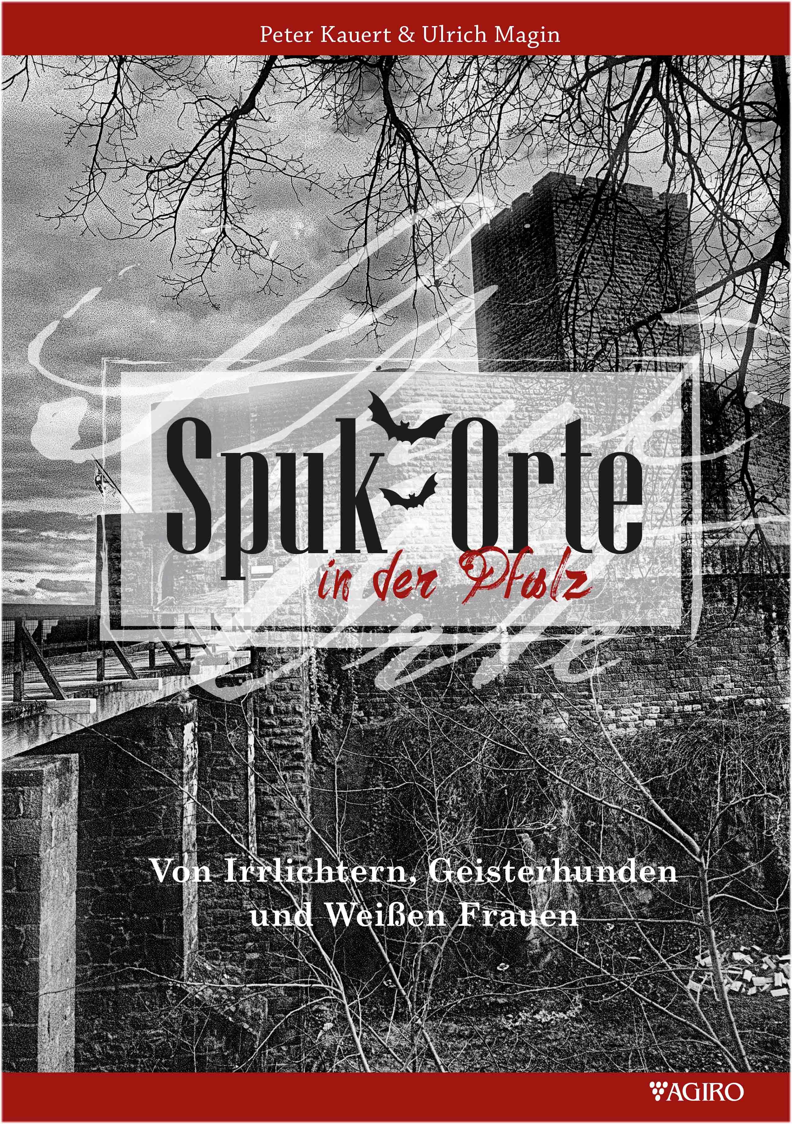 Vorderes Coverbild Spukorte in der Pfalz