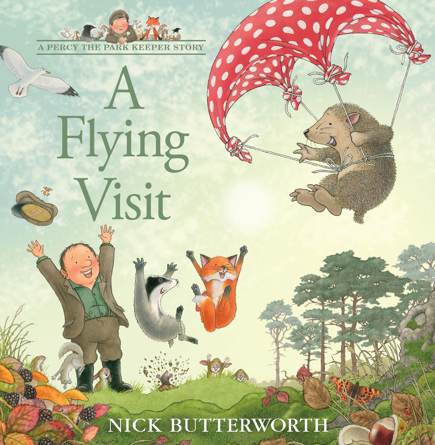 Vorderes Coverbild A Flying Visit