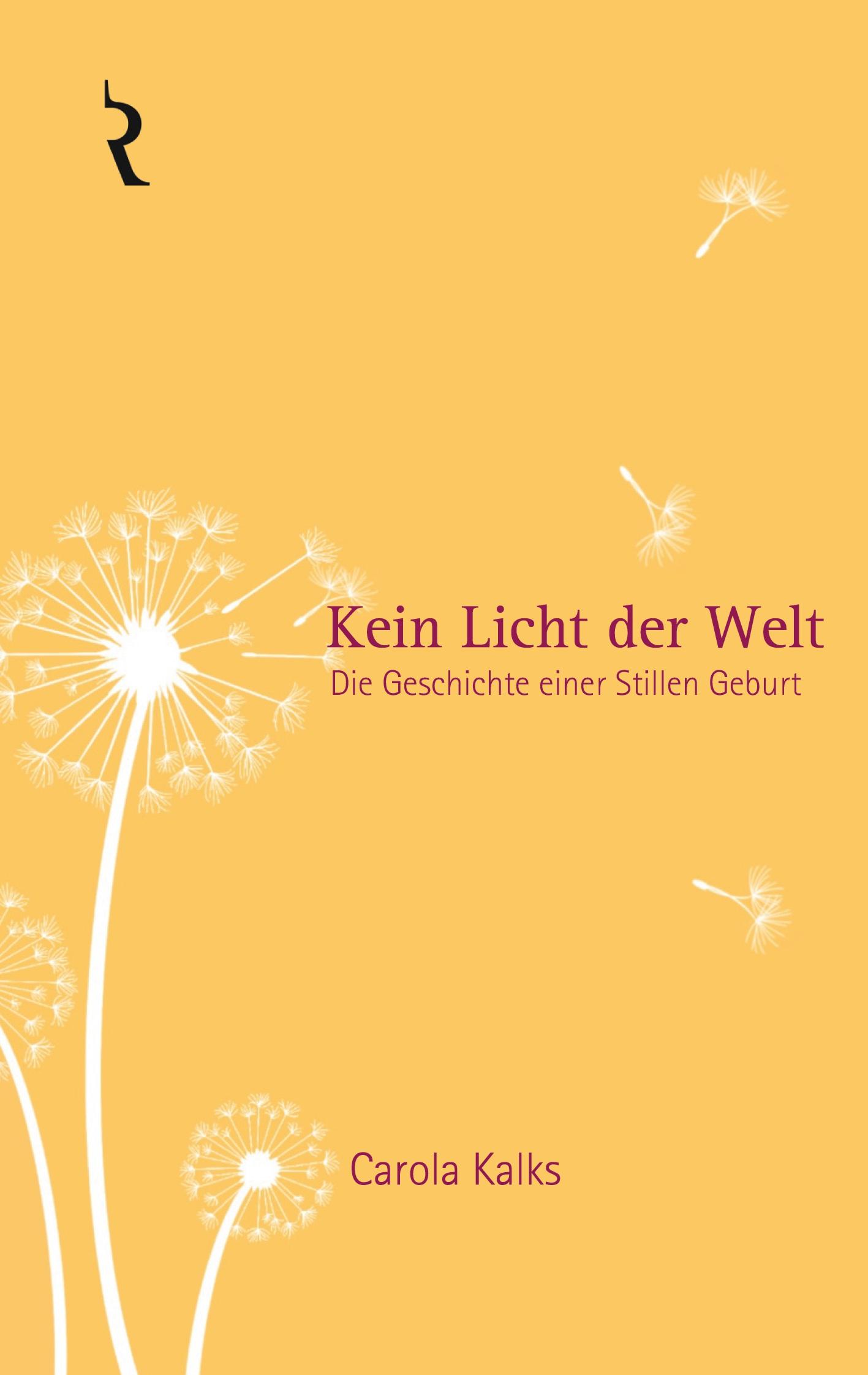 Vorderes Coverbild Kein Licht der Welt