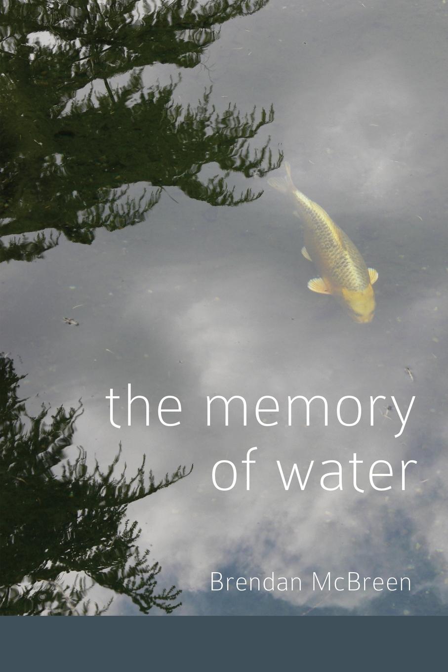 Vorderes Coverbild The Memory of Water