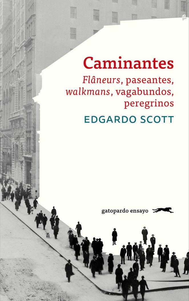 Vorderes Coverbild Caminantes